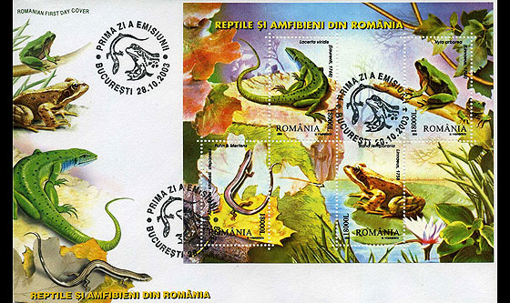 Reptiles and Amphibians in Romania