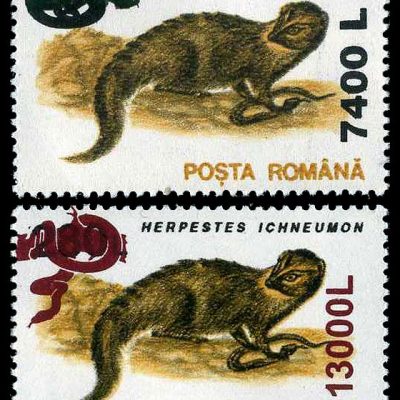 Animals 1993 - snake overprint