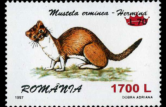 Fauna 1997 - Overprint “Crown”