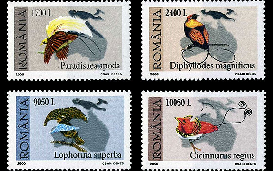 Treasures of the Grigore Antipa Museum - The Bird of Paradise