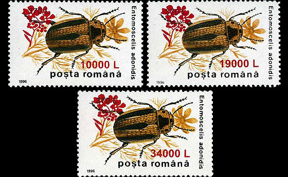 Insects II ’96, Overprint “Mustard Flower”