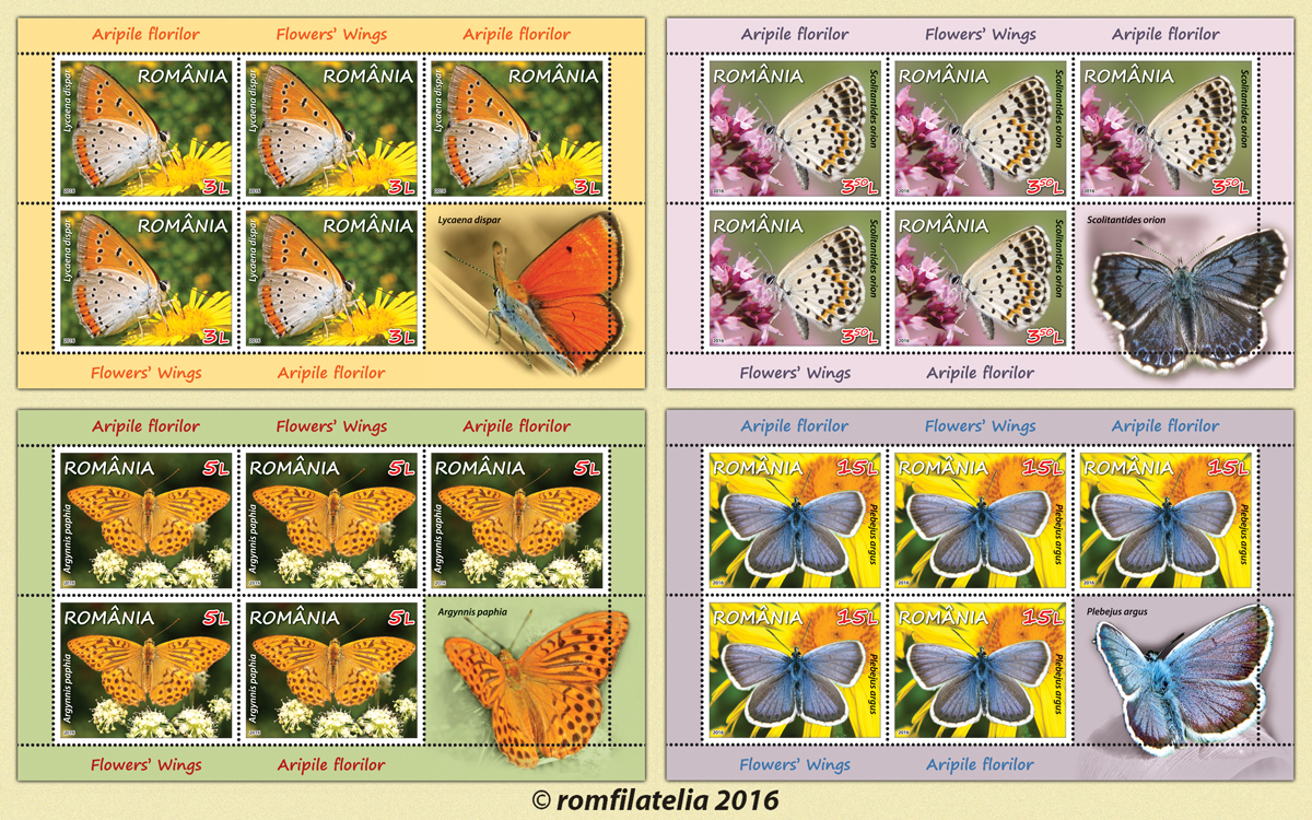 FLOWERS’ WINGS 1 FLOWERS’ WINGS