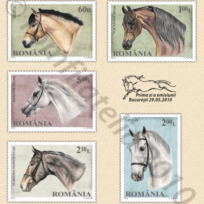 HORSE BREEDS