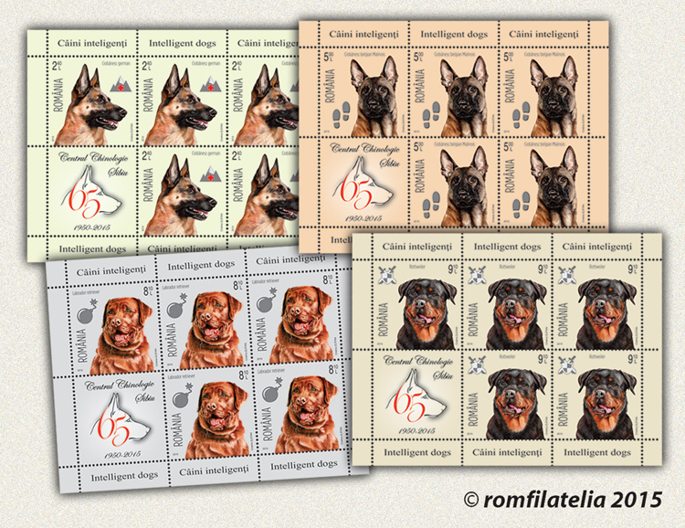 Intelligent dogs 1 Intelligent dogs