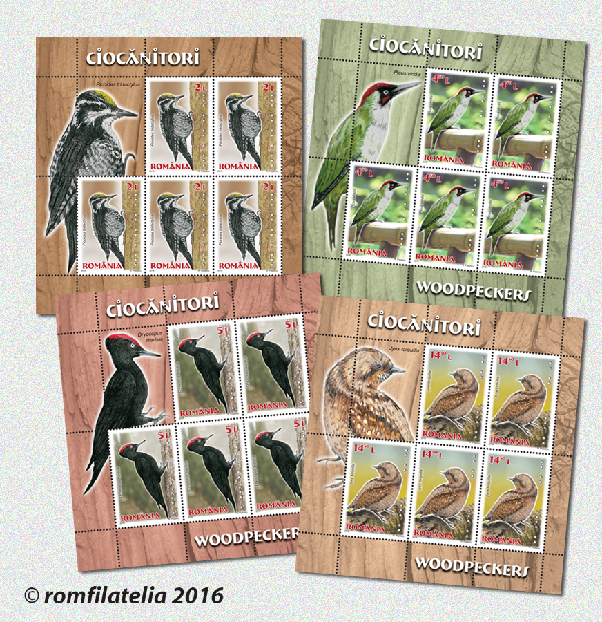 WOODPECKERS 1 WOODPECKERS