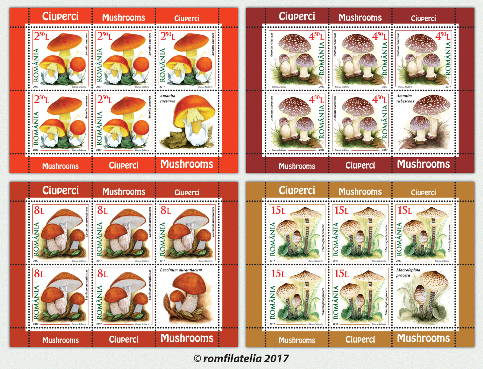 MUSHROOMS 1 MUSHROOMS