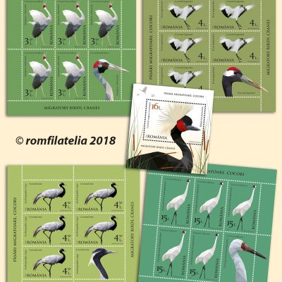 Migratory birds, Cranes