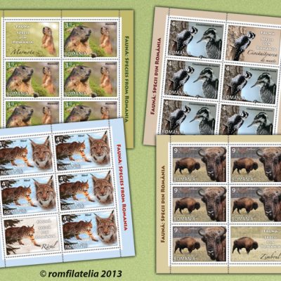 FAUNA: SPECIES FROM ROMANIA