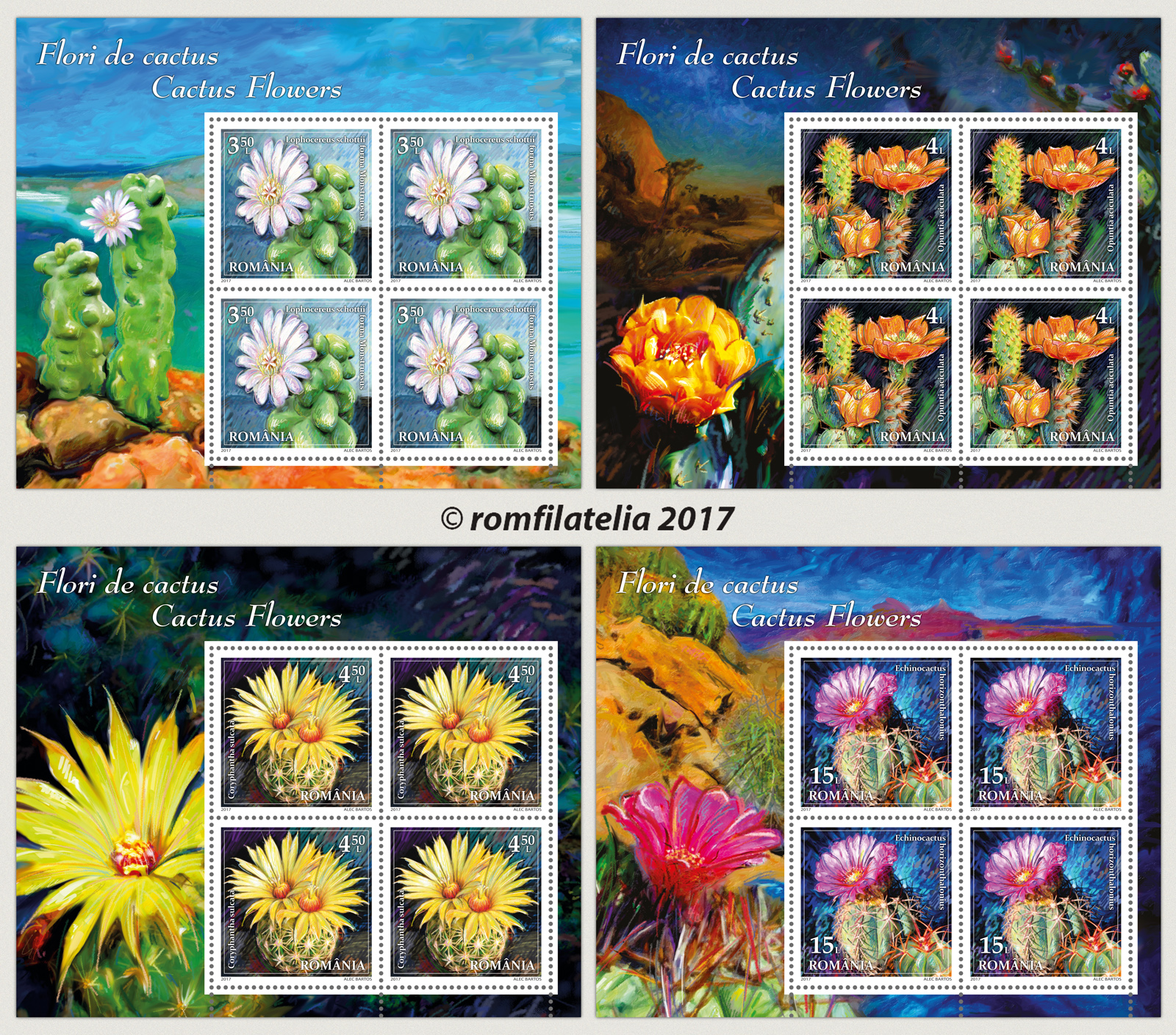 CACTUS FLOWERS 1 CACTUS FLOWERS