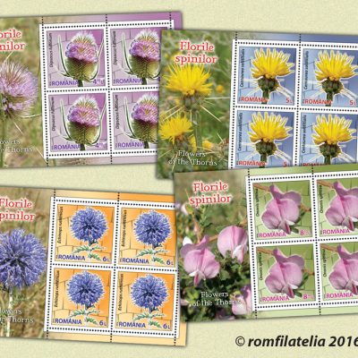 Flowers of the Thorns