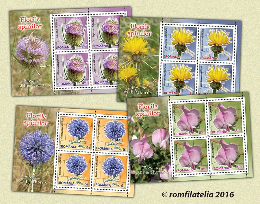 Flowers of the Thorns 1 Flowers of the Thorns