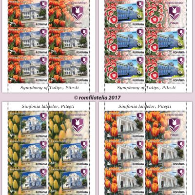 SYMPHONY OF TULIPS, PITESTI