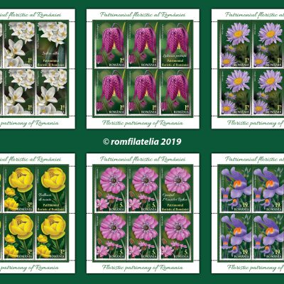 FLORISTIC PATRIMONY OF ROMANIA