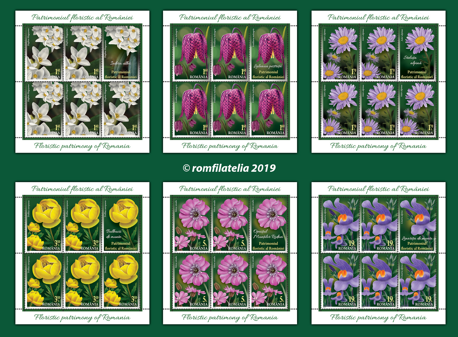 FLORISTIC PATRIMONY OF ROMANIA 1 FLORISTIC PATRIMONY OF ROMANIA