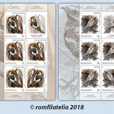 MASTERS OF CAMOUFLAGE