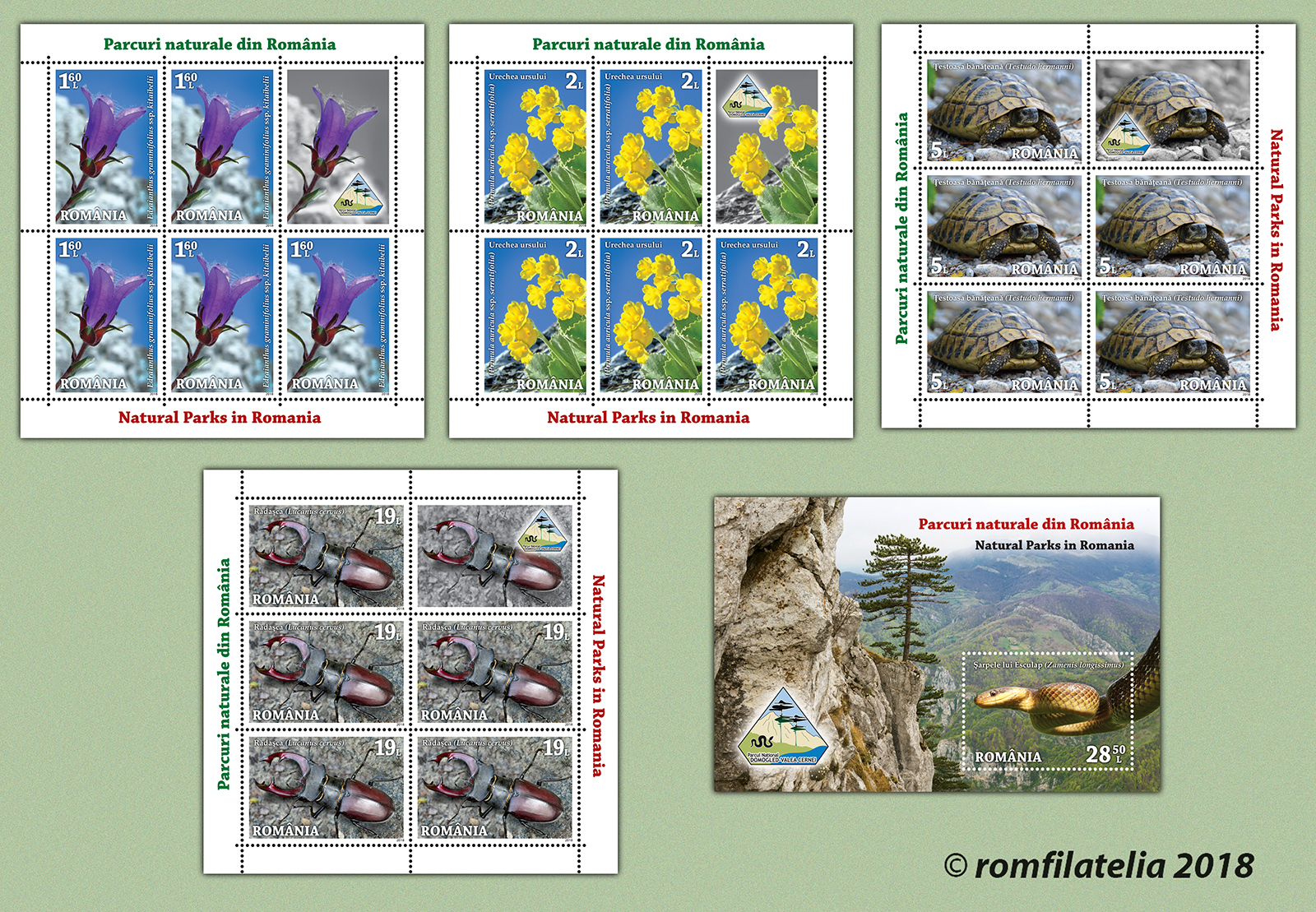 NATURAL PARKS IN ROMANIA 1 NATURAL PARKS IN ROMANIA