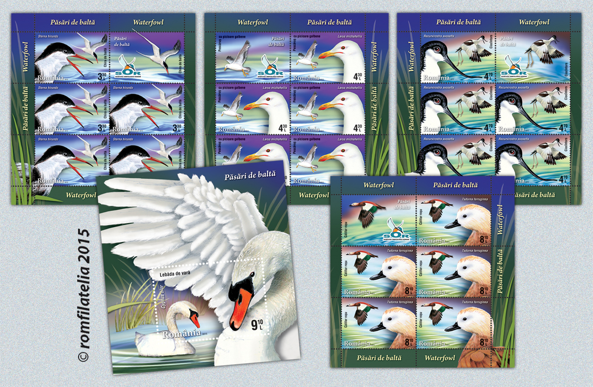 Waterfowl 1 Waterfowl