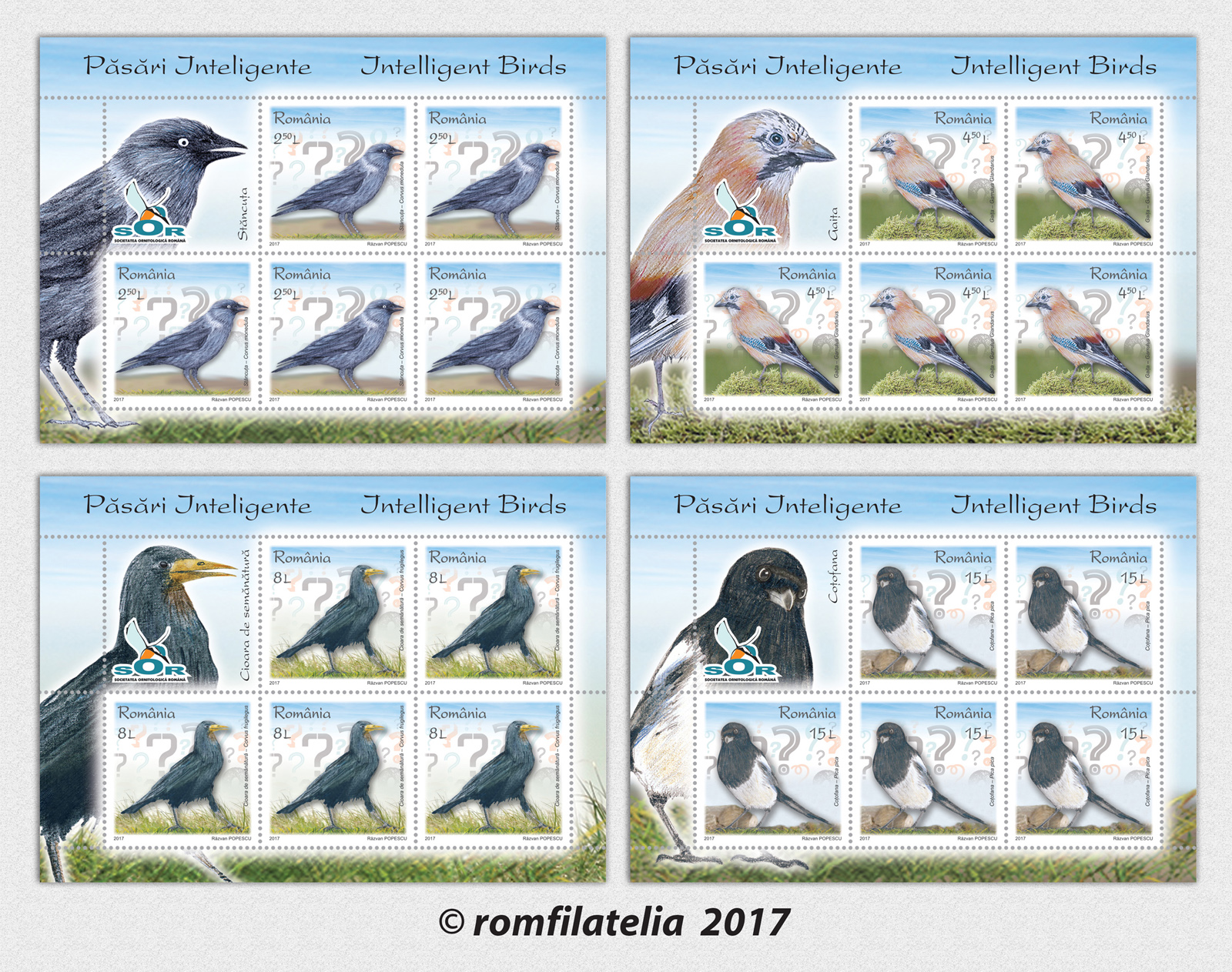 INTELLIGENT BIRDS 1 INTELLIGENT BIRDS