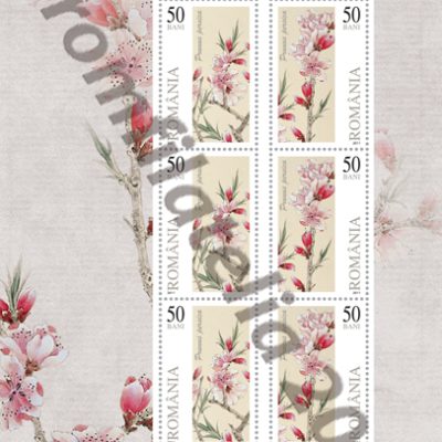 PEACH BLOSSOM (Flora II)