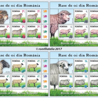 BREEDS OF SHEEP FROM ROMANIA