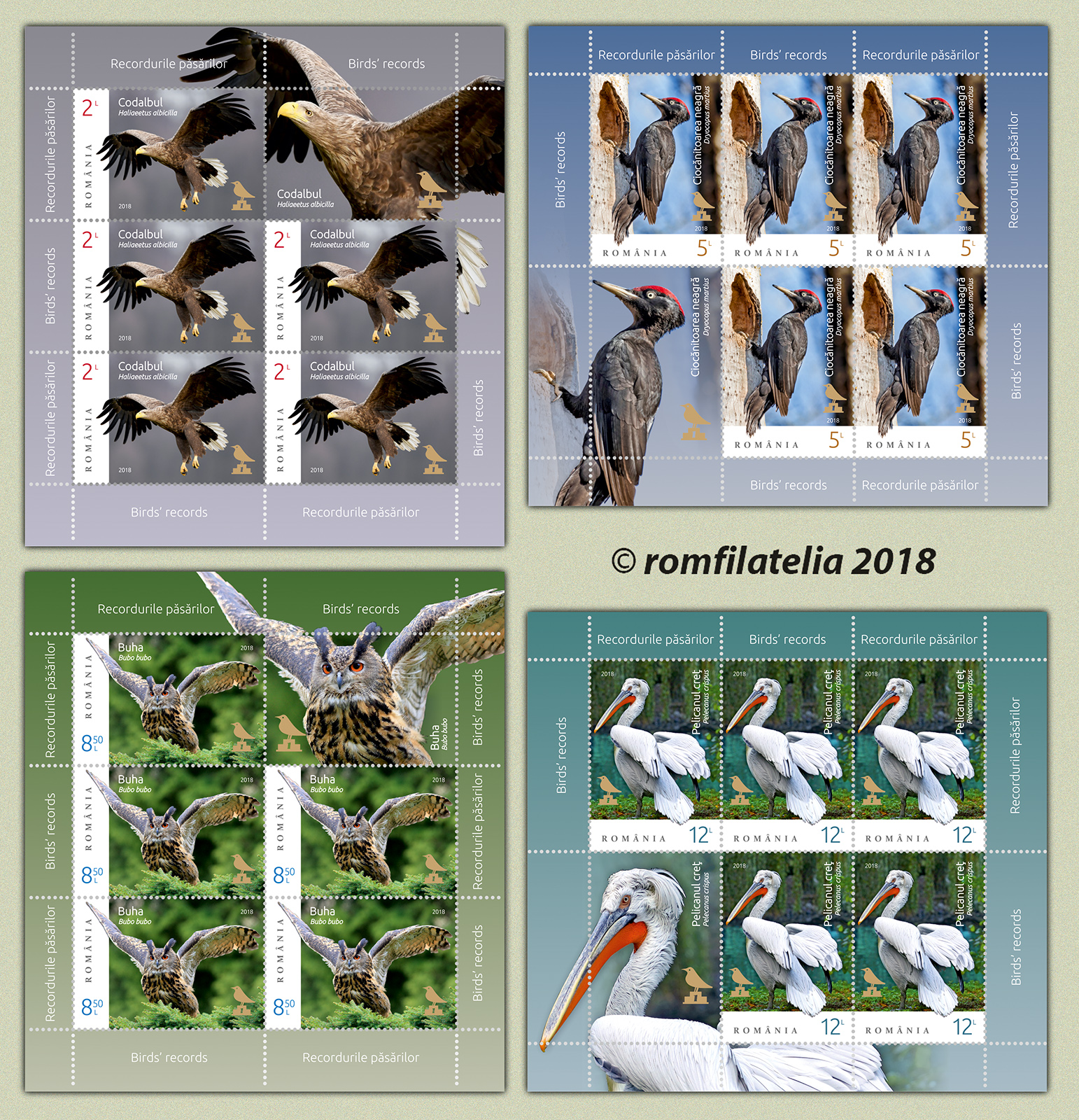 BIRDS’ RECORDS 1 BIRDS’ RECORDS