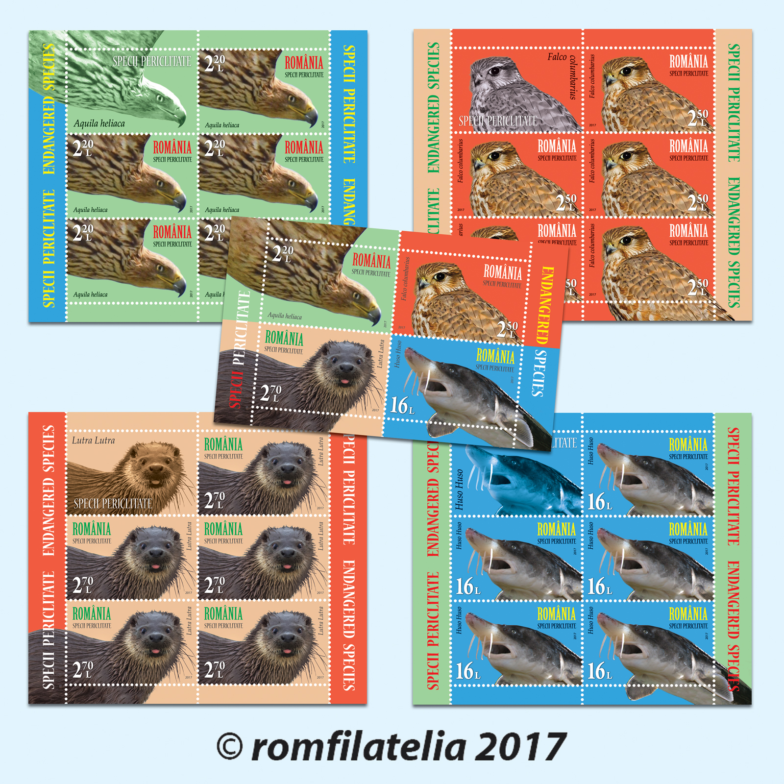 ENDANGERED SPECIES 1 ENDANGERED SPECIES