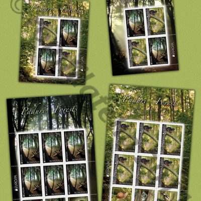 Europa 2011 - FORESTS