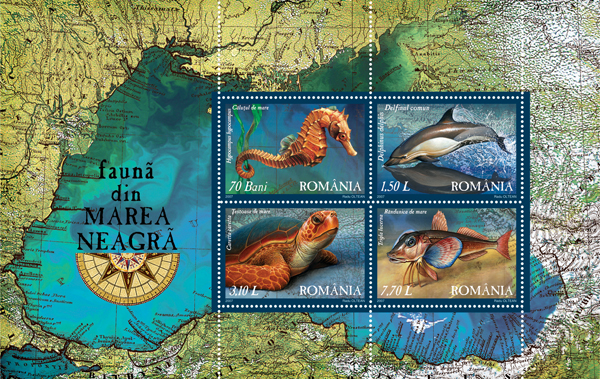 Fauna from the Black Sea