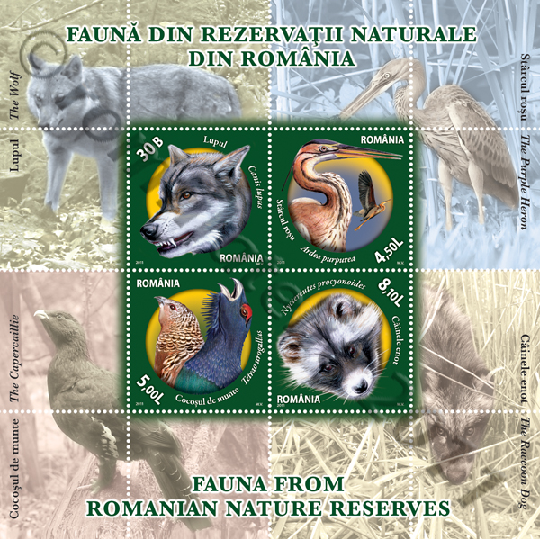 FAUNA FROM ROMANIAN NATURE RESERVES