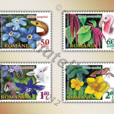 FLORA OF ROMANIA (II) - “Fauna flowers”