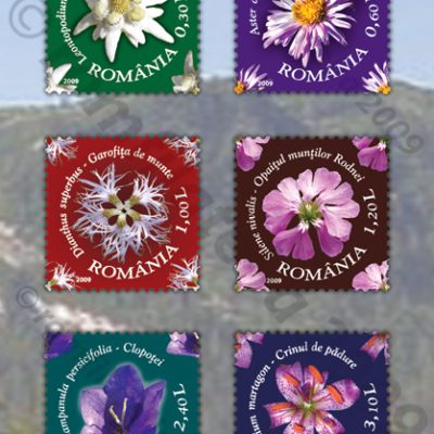 FLORA FROM PROTECTED AREAS – THE RODNA MOUNTAINS