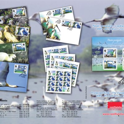 PROTECTED BIRDS – THE EURASIAN SPOONBILL – (WWF - World Wide Fund For Nature)