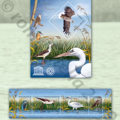 Birds from the Danube Delta