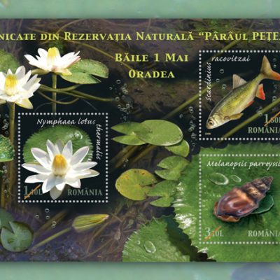 UNIQUE ITEMS FROM THE NATURAL RESERVATION “PETEA CREEK” BAILE 1 MAI – ORADEA