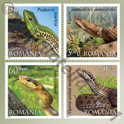 REPTILES OF ROMANIA