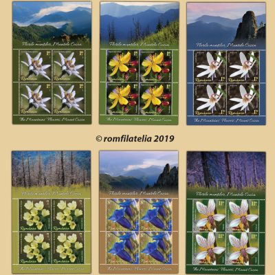 THE MOUNTAINS’ FLOWERS, MOUNT COZIA