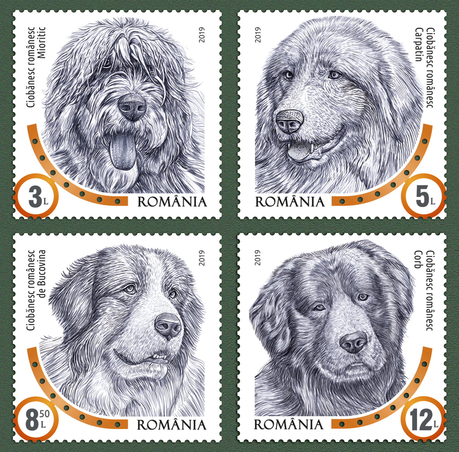 DOG BREEDS 1 DOG BREEDS