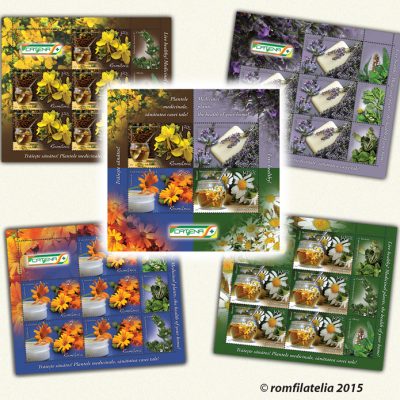 Live Healthy! Medicinal plants, the health of your home!