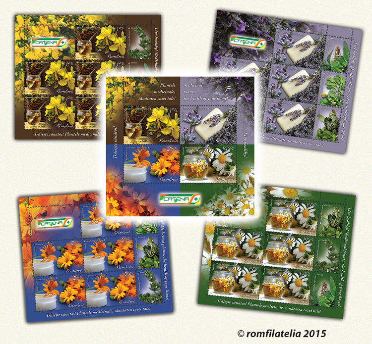 Live Healthy! Medicinal plants, the health of your home! 1 Live Healthy! Medicinal plants, the health of your home!