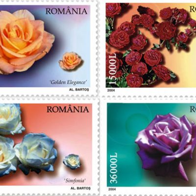 Romanian Roses