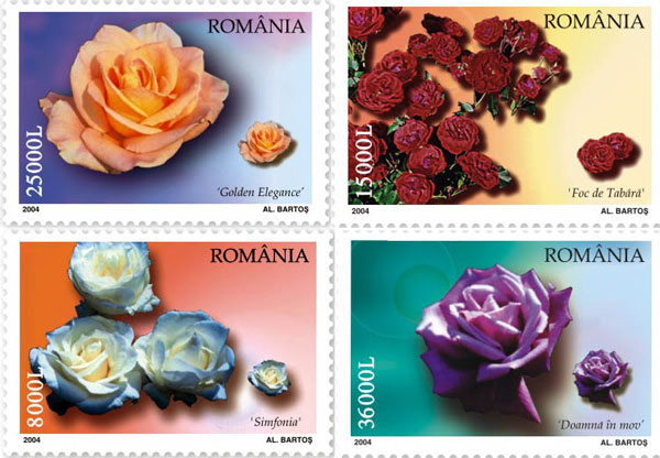 Romanian Roses 1 Romanian Roses
