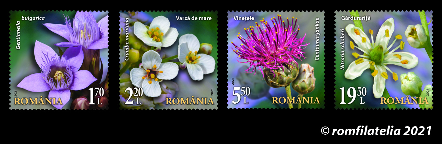 SITE_serie_Flori-din-rezervatiile-nationale-1