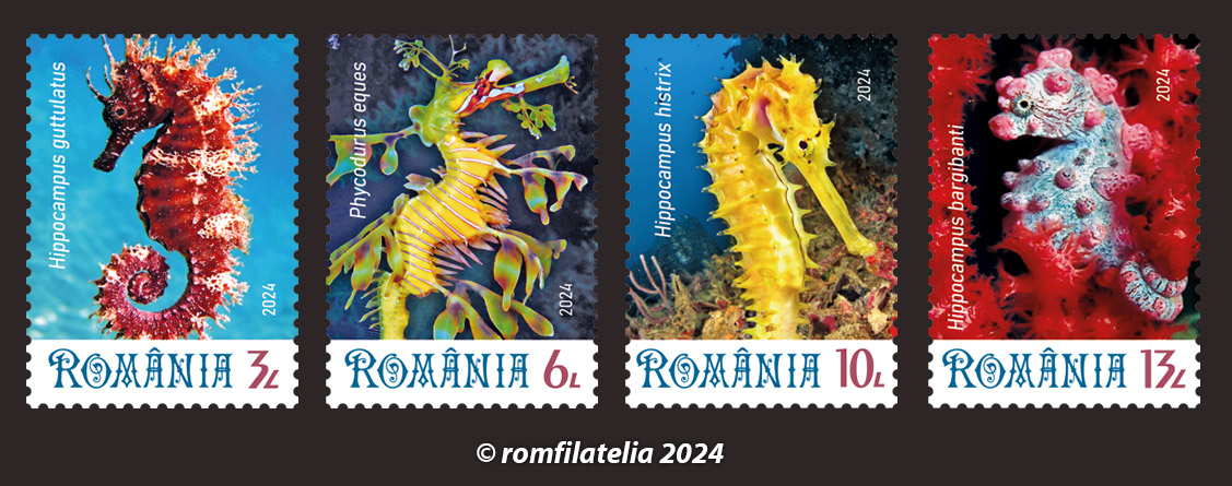 SITE_serie_Caluti-de-mare