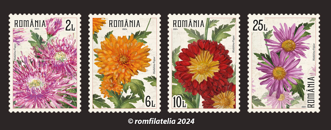 SITE_serie_Chrysanthemum