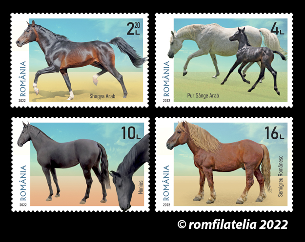 SITE_Serie_Rase de cai