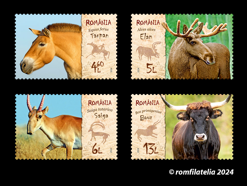 SITE_serie_Specii-disparute-din-Romania